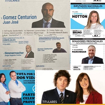 Candidatos provida PASO 2021